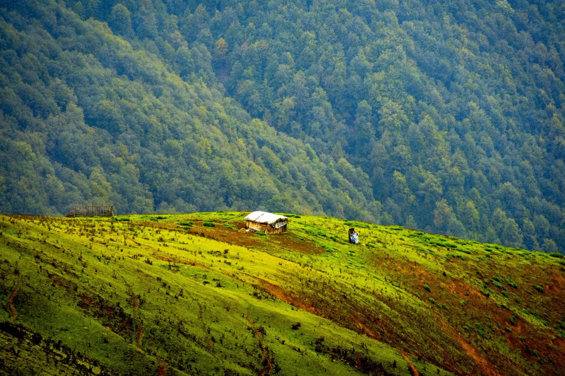 طبیعت هیرکانی